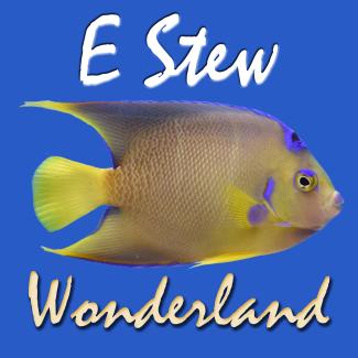 E Stew - Wonderland - cover art